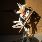 DSCN2650