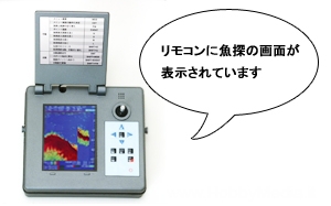 rbs_exp_remote.jpg