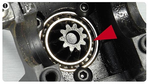 xray-808-c.jpg