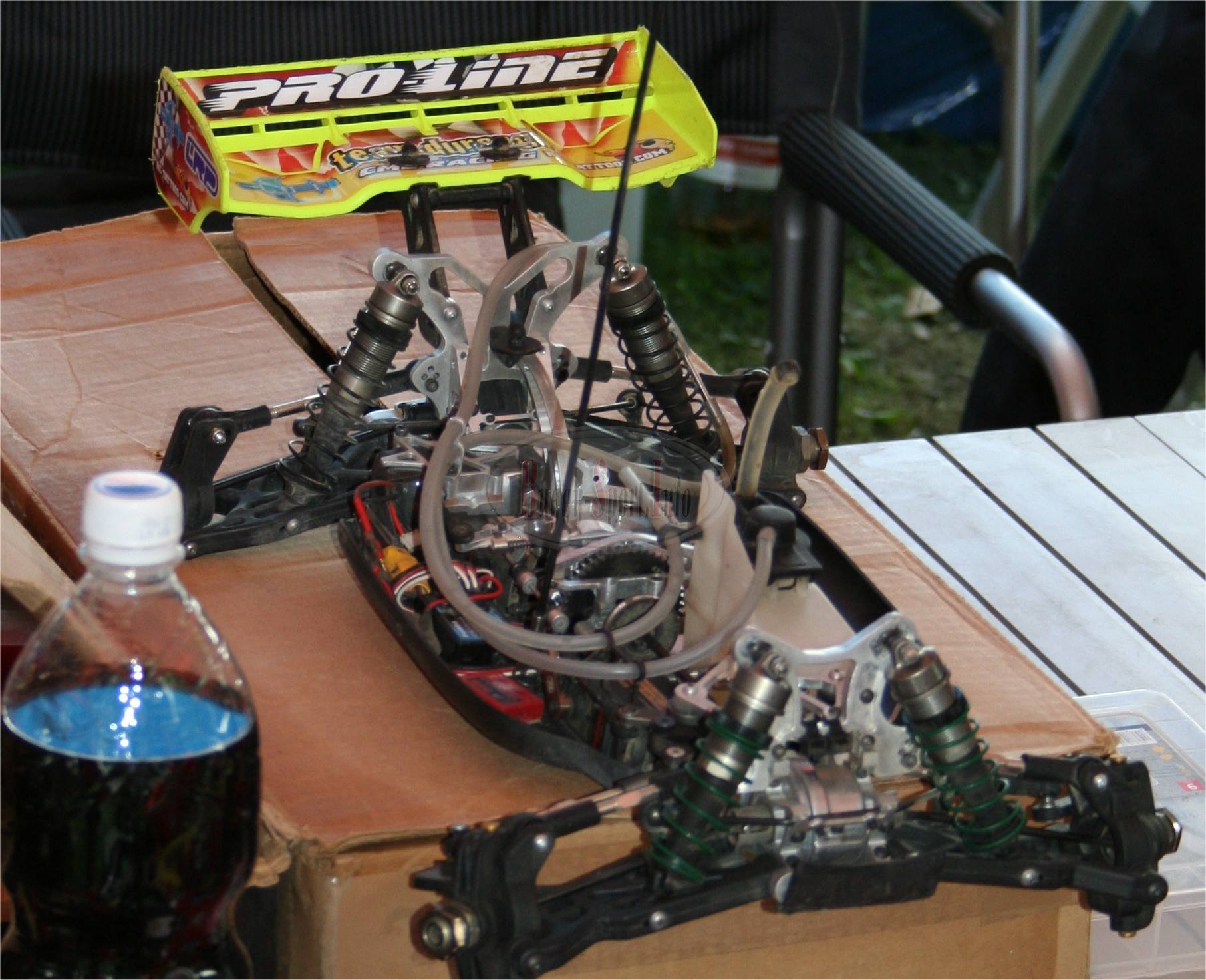 serpent-buggy-proto2