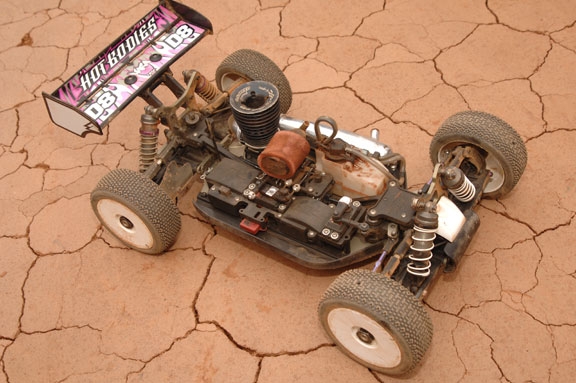 hotbodies-d81.jpg