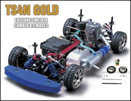 ts4n-gold.jpg