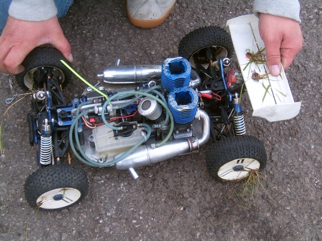 suc30663.jpg