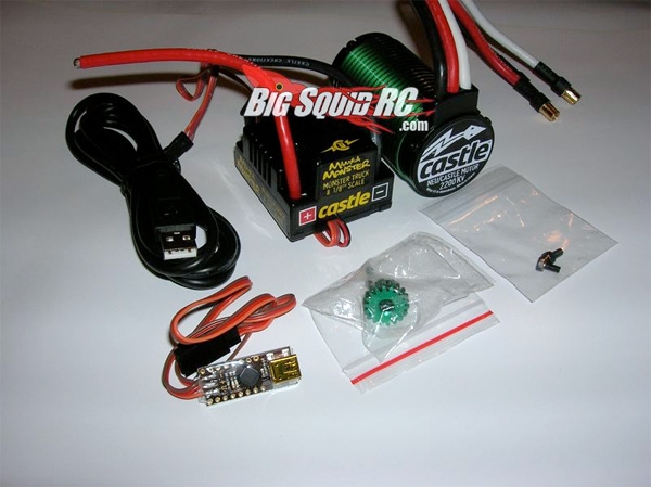 big-squid-1.jpg