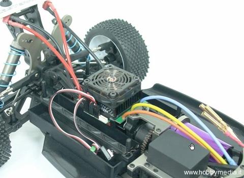 cater-racing-fusion-brushless-buggy2 cater-racing-fusion-brushless-buggy2