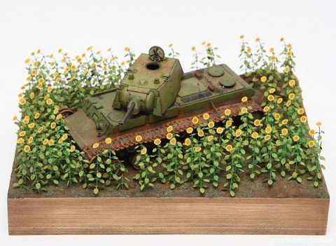 tamiya-001b