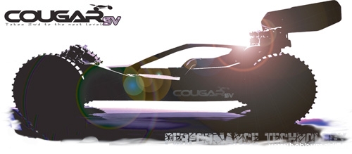cougar-sv-buggy1 cougar-sv-buggy1