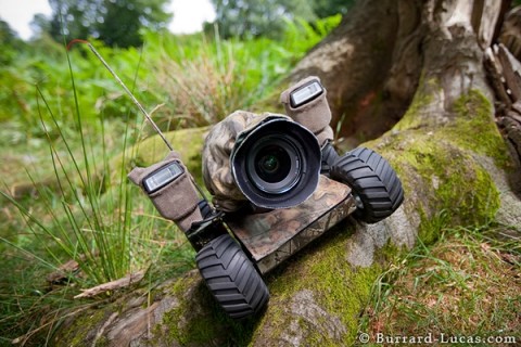beetlecam