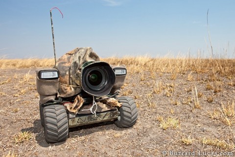 beetlecam_repairs