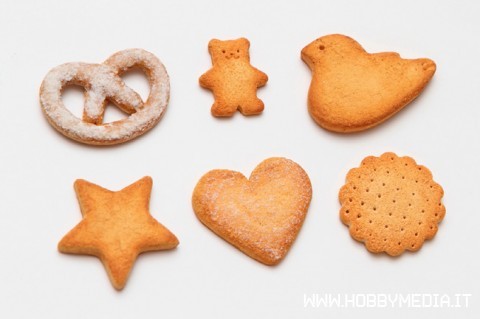 tamiya-cookie6