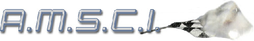 amsci amsci
