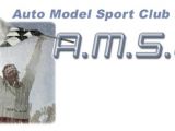 Campionati Italiani Automodellismo 2008 AMSCI