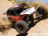 Axial EXO Terra Buggy 4WD in scala 1/10 - Robitronic