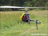 Video Folli: Elicottero RC contro uno sciame di Vespe!