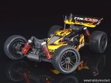 Thunder Tiger TTR Sparrowhawk XXB - Buggy RC in scala 1/10 brushless RTR
