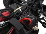ECX Revenge Type E Buggy RTR - Horizon Hobby
