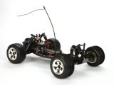  Circuit Stadium Truck - Electrix RC - Horizon Hobby