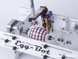 Decorare le uova di Pasqua con un robot - EggBot