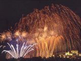 Happy New Year - Buon anno - 2009 Anno del bue