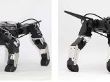 HPI: Dopo il G-Robot arriva G-Dog!