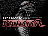 Kyosho Fazer EP Kobra buggy radiocomandata - Anticipazioni Fiera di Norimberga 2010