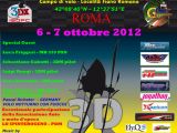 3DX Italy 2012 a Roma - Competizione di elimodellismo 3D