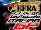 EFRA Italian Big Scale GP 2012 per automodelli F1 e GT 1/5