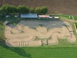 Competizioni RC - Trofeo Radiosistemi GRP 2008