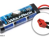 Reedy Wolfpack - Pacco batterie NiMH con connettori Dean Ultra Plug