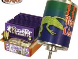 Novak Terra Claw 55T e Rooster Crawler - Motore e regolatore di velocità per Rock Crawling 
