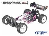 Buggy Sparrowhawk XB 4WD - Video Modellismo Dinamico 