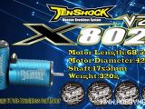 Motore brushless 6 Pole Tenshock X802 V2 per buggy 1/8