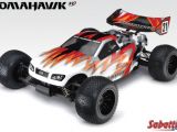 Thunder Tiger: Tomahawk ST Truggy in scala 1:10