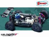 Buggy radiocomandata Hobbyfirst WildFire 1:10 4WD RTR 2,4 GHz - SabattiniCars