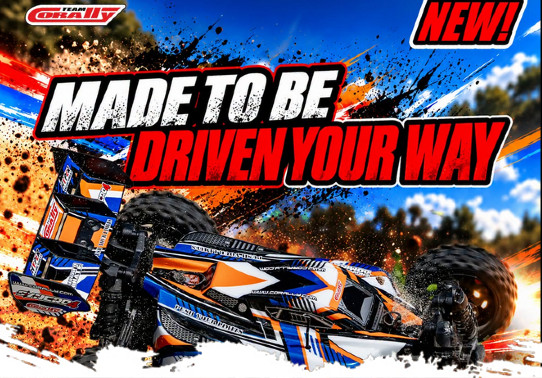 team corally Spark buggy bashing