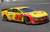 Losi: Chase Elliot & Joey Logano NASCAR in scala 1/12